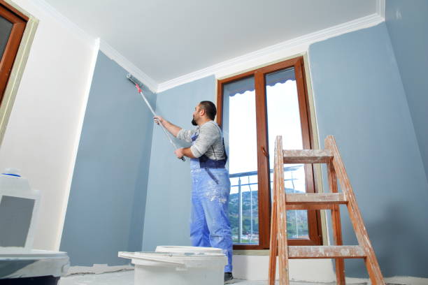 Trusted Thompson Falls, MT Mold Removal Experts