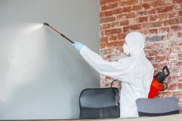 Best Mold Remediation for Healthcare Facilities  in Thompson Falls, MT