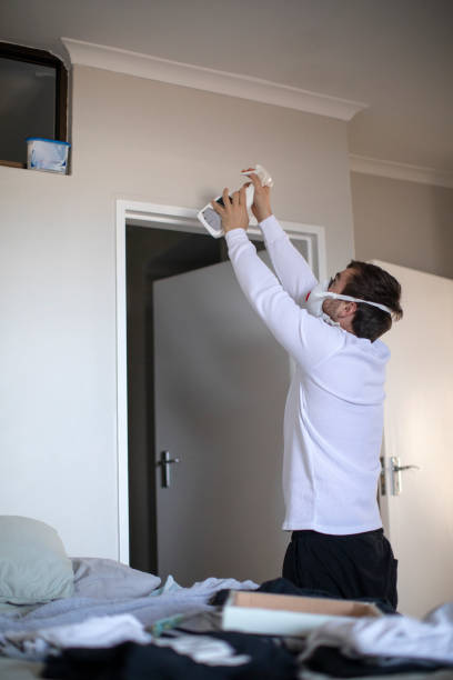 Best Real Estate Mold Inspection  in Thompson Falls, MT