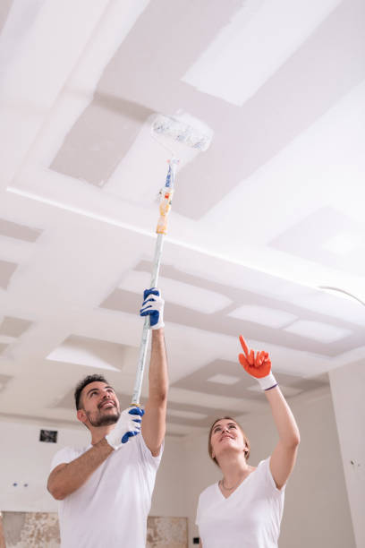 Mold Odor Removal Services in Thompson Falls, MT