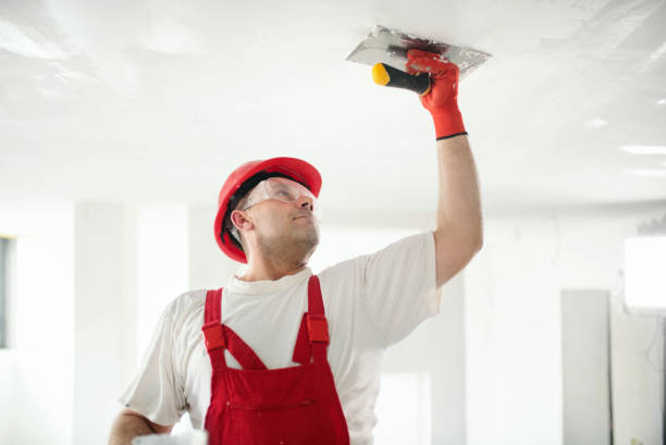  Thompson Falls, MT Mold Removal Pros