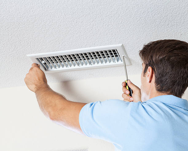 Best Commercial Mold Inspection  in Thompson Falls, MT