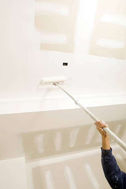 Best Commercial Mold Inspection  in Thompson Falls, MT