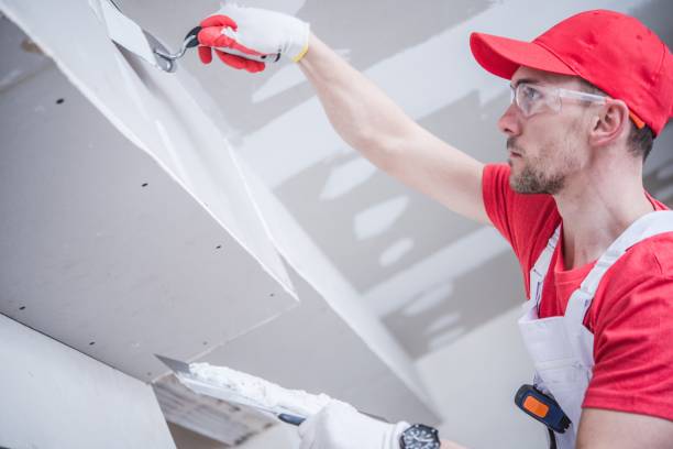 Best Emergency Mold Remediation  in Thompson Falls, MT
