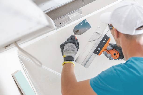 Best Water Damage & Mold Remediation  in Thompson Falls, MT